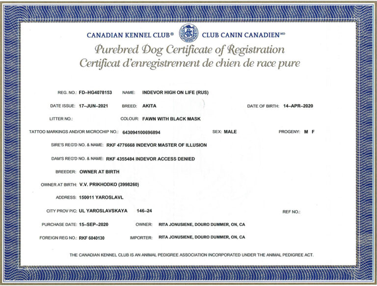 Lucky's Canadian Kennel Club Purebred Dog Certificate