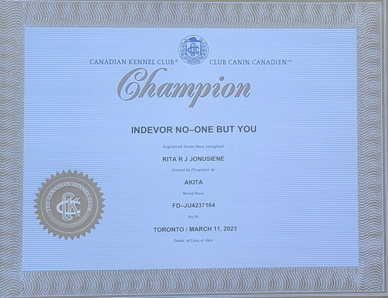 Tora, Canadian Kennel Club 2023 Champion, Toronto