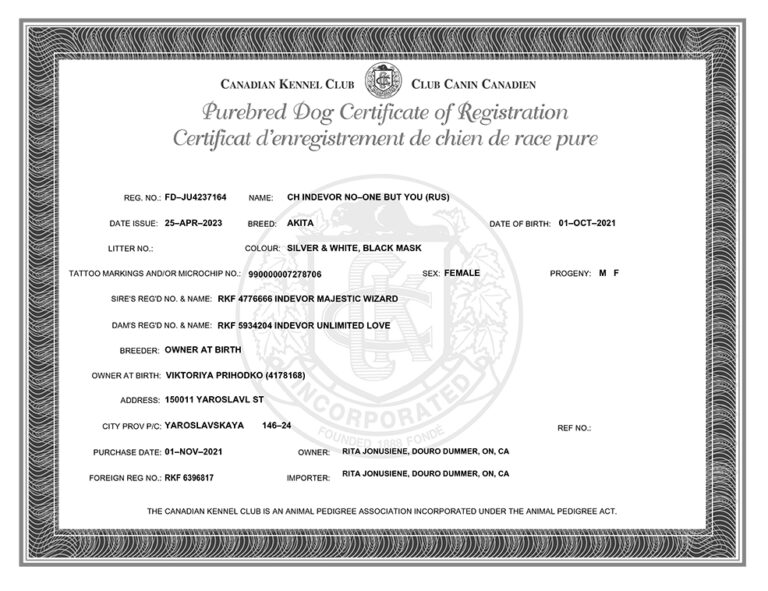 Tora's Canadian Kennel Club certified pedigree