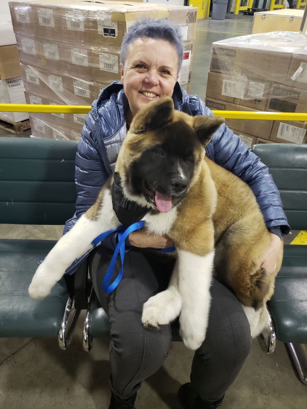 Rita with the American Akita puppy