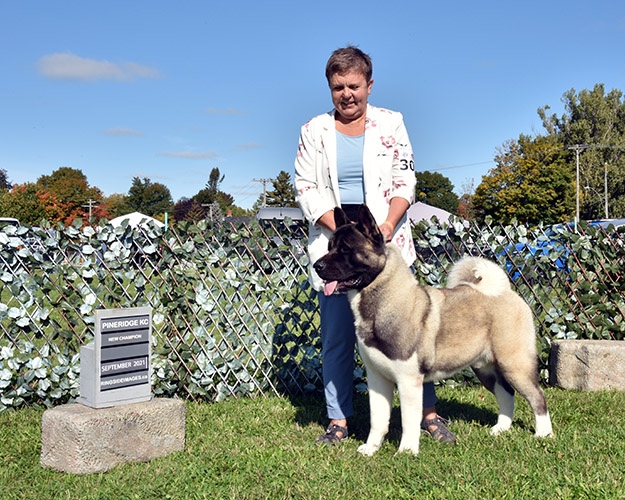Lucky, new champion Akita male and Rita, the breeder