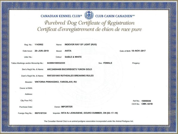 Indevor Ray of Light, aka Rika's Canadian Kennel Club Purebred Dog Certificate of Registration