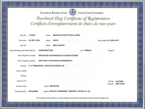 Polly's Canadian Kennel Club Purebred Dog Certificate of Registration
