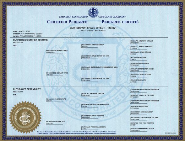 Polly's Canadian Kennel Club Certified Pedigree